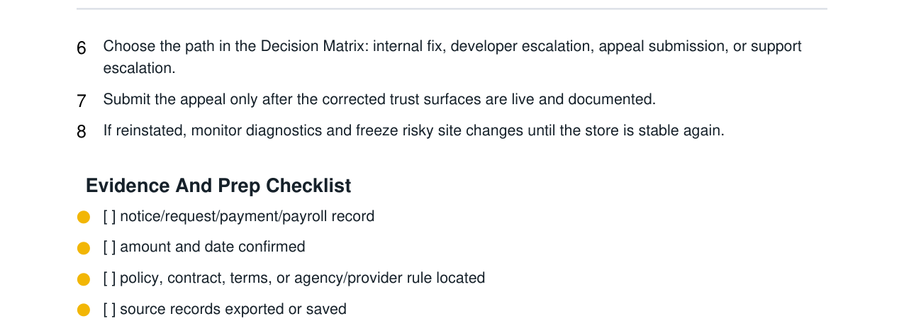 Google Merchant Center Misrepresentation Recovery Kit real file preview